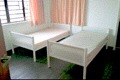 Macpherson Road (D13), Terrace #175912782